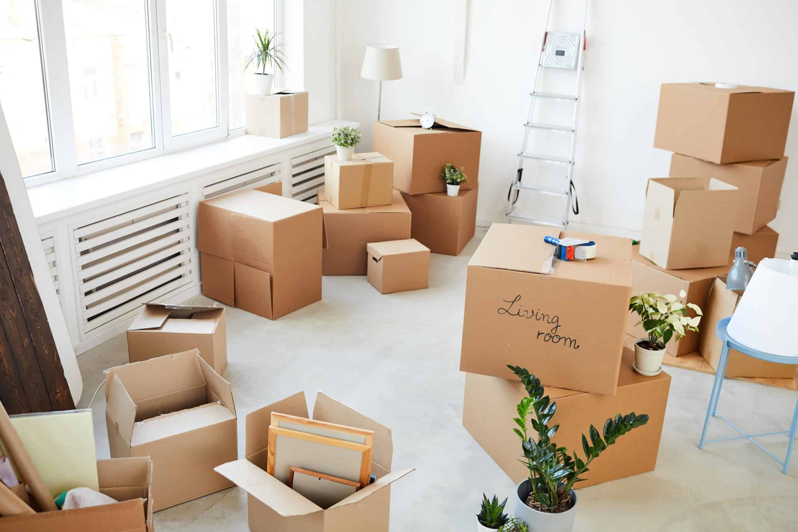Home Removal
