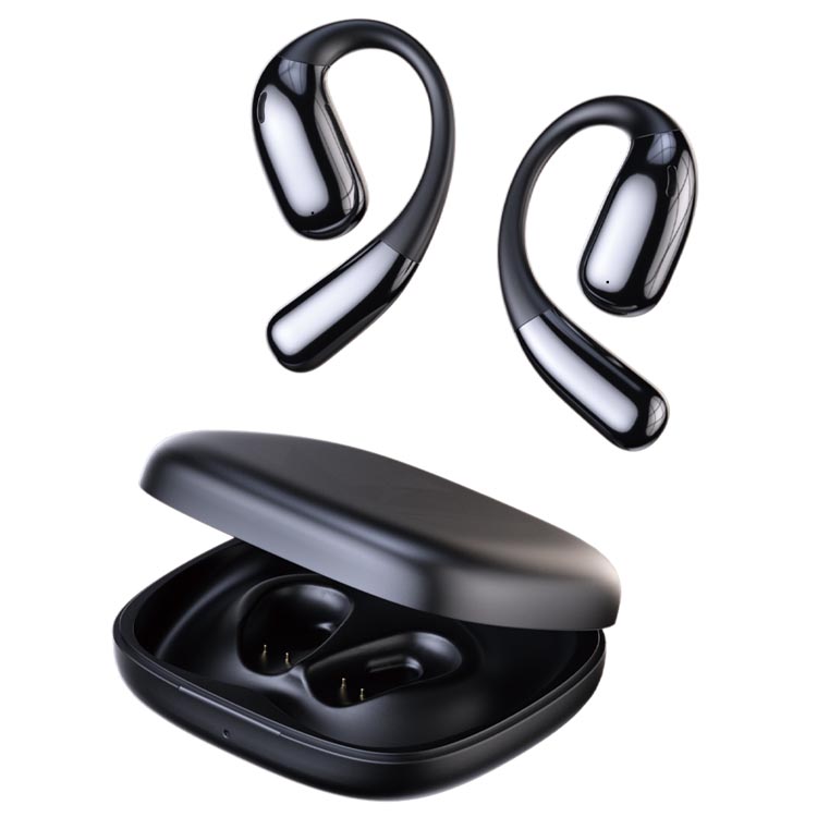 Translator Ear Buds