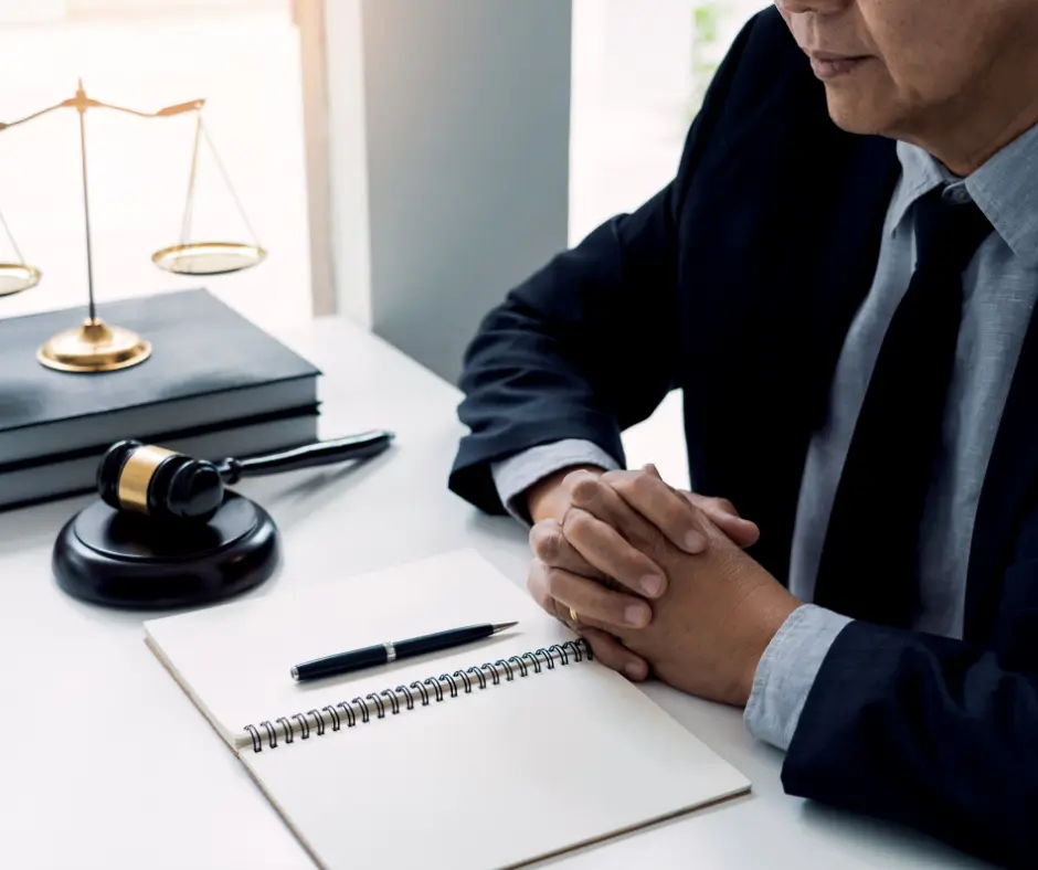 Professional Lawyer