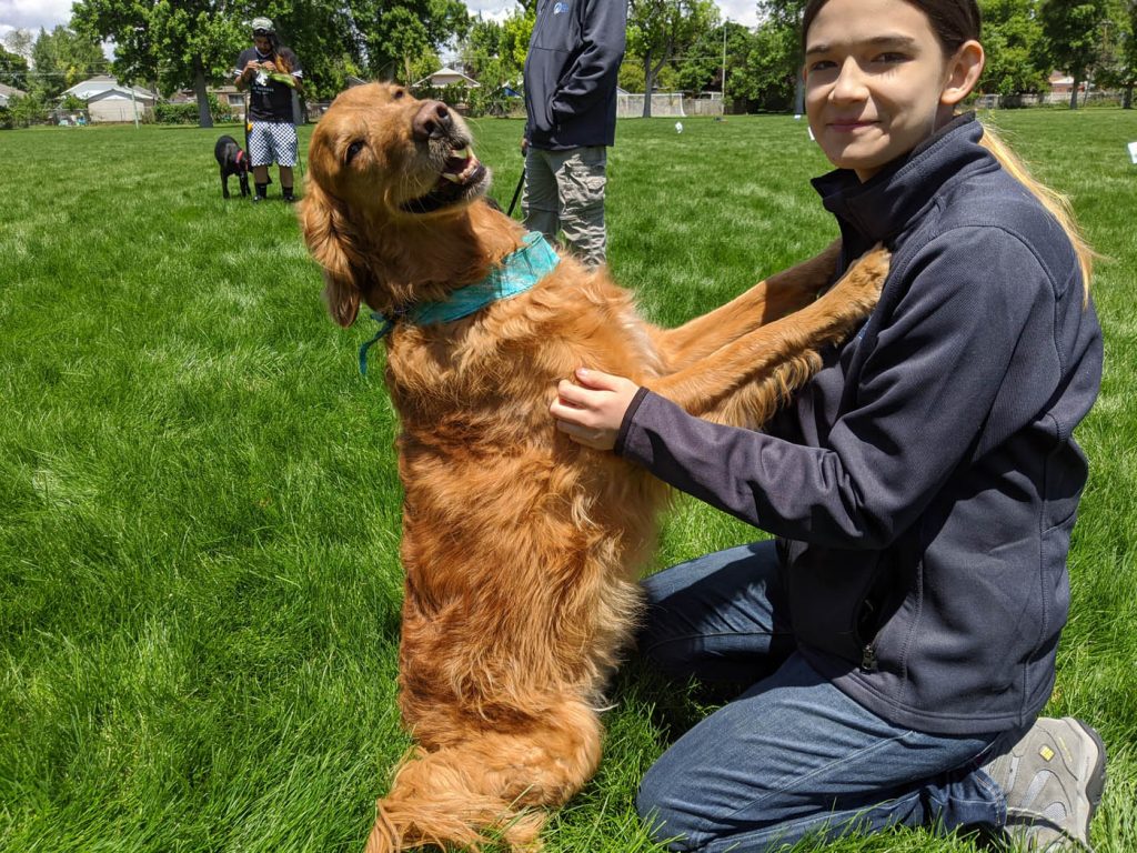 training center for dogs in Syracuse